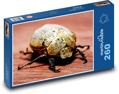Hmyz - brouk, entomologie  - Puzzle 260 dílků, rozměr 41x28,7 cm