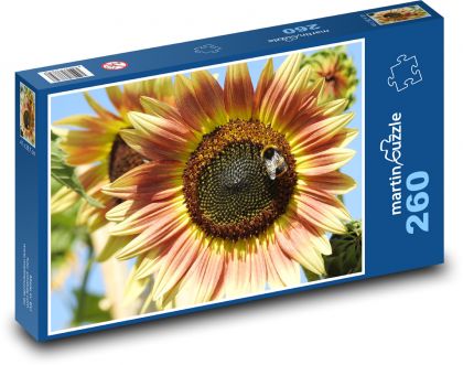 Slunečnice - květina, květ - Puzzle 260 dílků, rozměr 41x28,7 cm