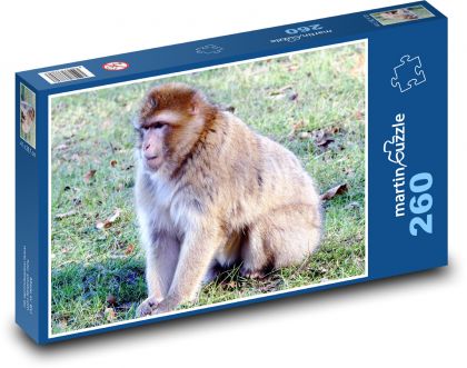 Opice - makak, divoká zvěř - Puzzle 260 dílků, rozměr 41x28,7 cm