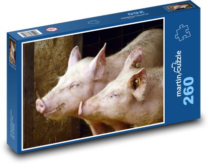 Świnie - rolnictwo, zwierzęta - Puzzle 260 elementów, rozmiar 41x28,7 cm