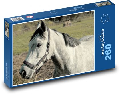 Horse - animal, farm - Puzzle 260 pieces, size 41x28.7 cm 