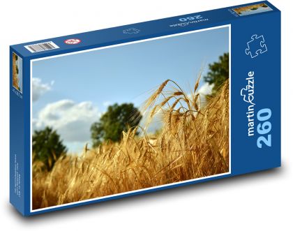 Obilné pole - jačmeň, krajina - Puzzle 260 dielikov, rozmer 41x28,7 cm