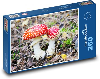 Muchomůrka - houba, les - puzzle 260 dílků