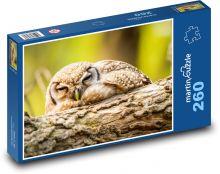 Eule - Vogel, Tier Puzzle 260 Teile - 41 x28,7 cm