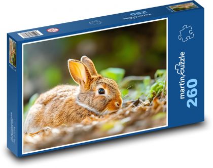 Rabbit - animal, mammal - Puzzle 260 pieces, size 41x28.7 cm 