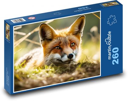 Liška - savec, divoké zvíře - Puzzle 260 dílků, rozměr 41x28,7 cm