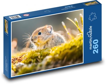 Myš - hlodavec, zviera - Puzzle 260 dielikov, rozmer 41x28,7 cm