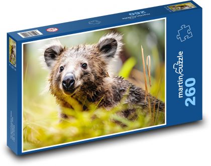 Koala - medvěd, savec - Puzzle 260 dílků, rozměr 41x28,7 cm
