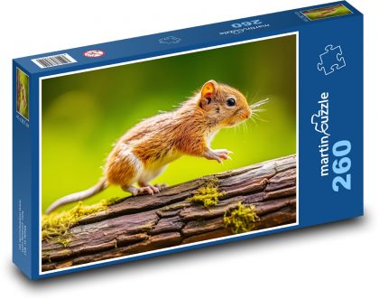 Myš na větvi - hlodavec, zvíře - Puzzle 260 dílků, rozměr 41x28,7 cm