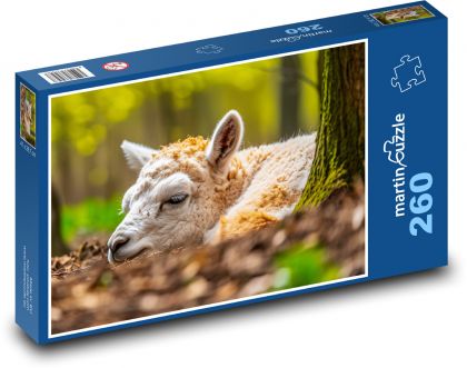 Alpaka - zwierzę, wiosna - Puzzle 260 elementów, rozmiar 41x28,7 cm