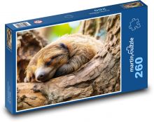 Sloth - tree, mammal Puzzle 260 pieces - 41 x 28.7 cm