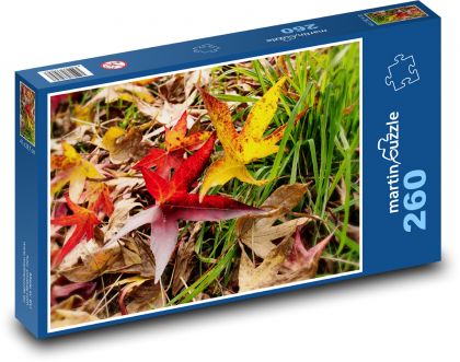 Listy - podzim, tráva - Puzzle 260 dílků, rozměr 41x28,7 cm