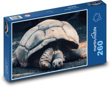 Żółw olbrzymi Galapagos - gad, zwierzę Puzzle 260 elementów - 41x28,7 cm