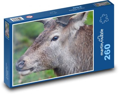 Jeleń - zwierzę, las - Puzzle 260 elementów, rozmiar 41x28,7 cm