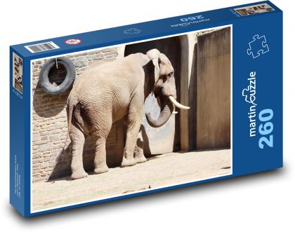 Słoń afrykański - duże zwierzę, zoo - Puzzle 260 elementów, rozmiar 41x28,7 cm
