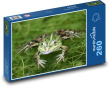 Zelená žaba - vodné živočíchy, zvieratá Puzzle 260 dielikov - 41 x 28,7 cm 