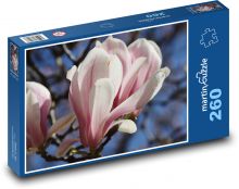 Kwiat magnolii - roślina, wiosna Puzzle 260 elementów - 41x28,7 cm