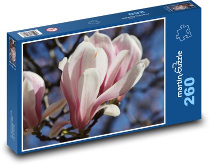 Kwiat magnolii - roślina, wiosna - Puzzle 260 elementów, rozmiar 41x28,7 cm