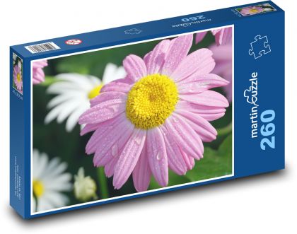 Chryzantema - różowy kwiat, kwiat - Puzzle 260 elementów, rozmiar 41x28,7 cm