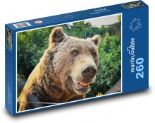 Medveď - zviera, zoo Puzzle 260 dielikov - 41 x 28,7 cm