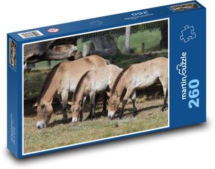 Overwalled horse, animal - Puzzle 260 pieces, size 41x28.7 cm 