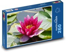 Leknín - květ, rybník Puzzle 260 dílků - 41 x 28,7 cm