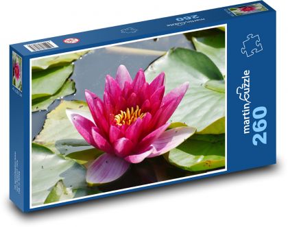 Leknín - květ, rybník - Puzzle 260 dílků, rozměr 41x28,7 cm