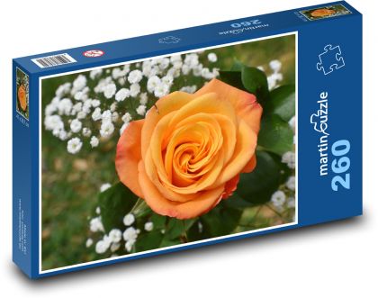Oranžová růže - květ, květina - Puzzle 260 dílků, rozměr 41x28,7 cm