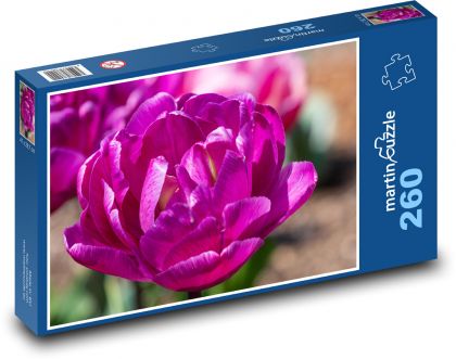 Fialové tulipány - kvety, jar - Puzzle 260 dielikov, rozmer 41x28,7 cm