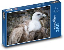 Geier - Vogel, Feder Puzzle 260 Teile - 41 x28,7 cm