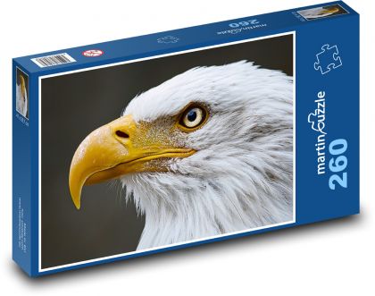 Orol bielohlavý - vták, zviera - Puzzle 260 dielikov, rozmer 41x28,7 cm