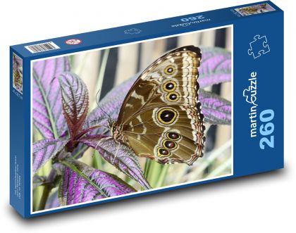 Motýľ - hmyz, rastliny - Puzzle 260 dielikov, rozmer 41x28,7 cm