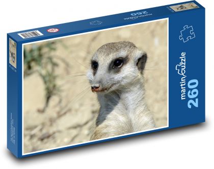 Surikata - zviera, zoologická záhrada - Puzzle 260 dielikov, rozmer 41x28,7 cm