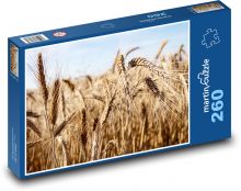 Cereals - field, harvest Puzzle 260 pieces - 41 x 28.7 cm 
