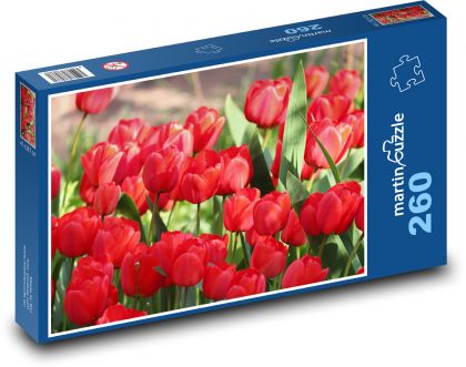 Červené tulipány - květiny, zahrada - Puzzle 260 dílků, rozměr 41x28,7 cm