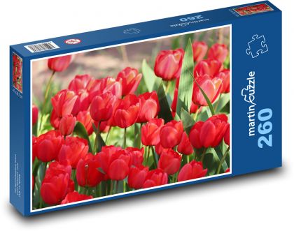 Červené tulipány - kvety, záhrada - Puzzle 260 dielikov, rozmer 41x28,7 cm