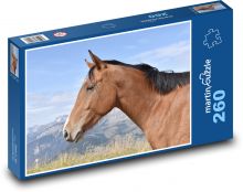 Kůň - zvíře, hříva Puzzle 260 dílků - 41 x 28,7 cm