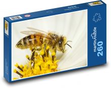 Pollination - bee, insect Puzzle 260 pieces - 41 x 28.7 cm 