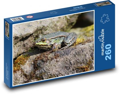 Žaba - obojživelník, zviera - Puzzle 260 dielikov, rozmer 41x28,7 cm