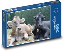Krávy - hovězí dobytek, farma Puzzle 260 dílků - 41 x 28,7 cm