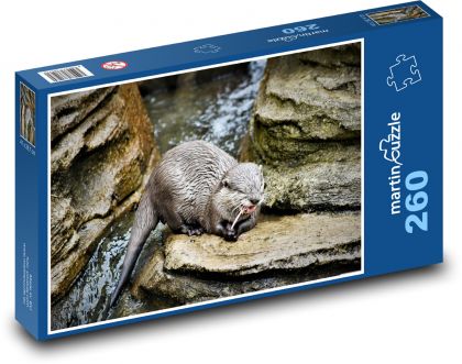 Wydra - zwierzę, drapieżnik - Puzzle 260 elementów, rozmiar 41x28,7 cm