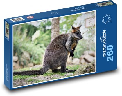 Klokan - zoo, vačnatec - puzzle 260 dílků