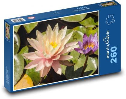 Ľalie - kvet, rybník - Puzzle 260 dielikov, rozmer 41x28,7 cm