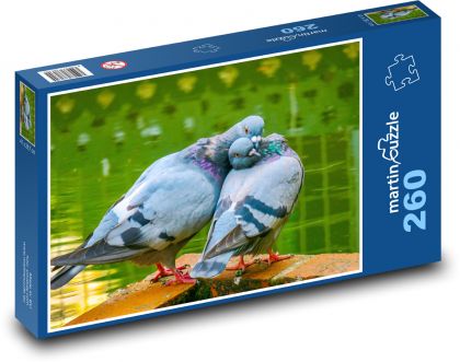 Holuby - vtáky, pár - Puzzle 260 dielikov, rozmer 41x28,7 cm