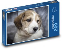 Puppy - pet, dog Puzzle 260 pieces - 41 x 28.7 cm