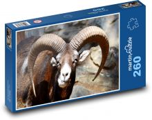Koza - zvíře, rohy Puzzle 260 dílků - 41 x 28,7 cm