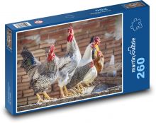 Slepice - kohout, drůbež Puzzle 260 dílků - 41 x 28,7 cm