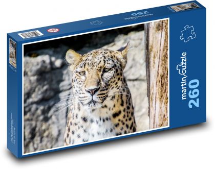 Leopard - velká kočka, zvíře - Puzzle 260 dílků, rozměr 41x28,7 cm