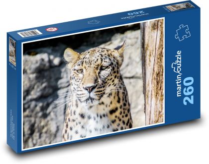 Leopard - big cat, animal - Puzzle 260 pieces, size 41x28.7 cm 