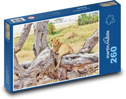 Lioness - Tanzania, safari - Puzzle 260 pieces, size 41x28.7 cm 
